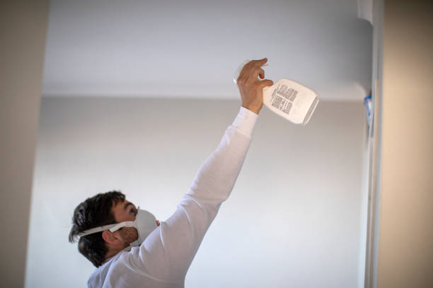 Best Mold Testing  in Clinton, IL