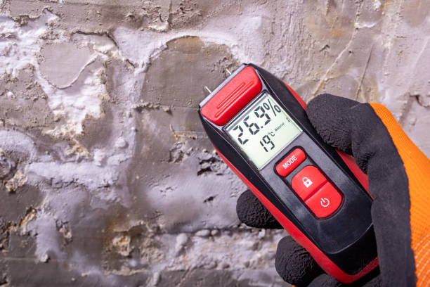 Best Office Mold Removal Services  in Clinton, IL